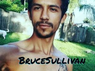 Bruce_Sullivan