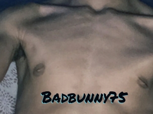 Badbunny75