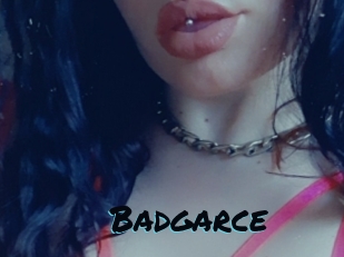 Badgarce