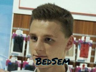 BedSem