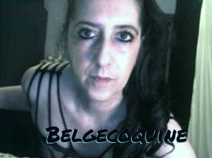 Belgecoquine