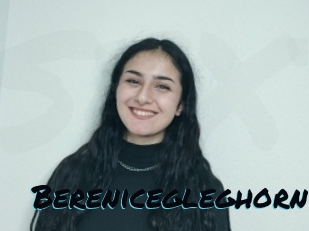 Berenicegleghorn