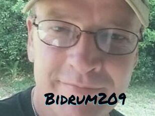 Bidrum209