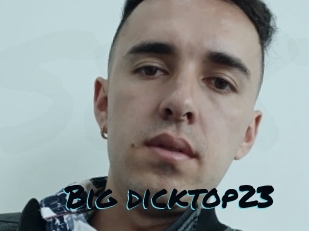 Big_dicktop23