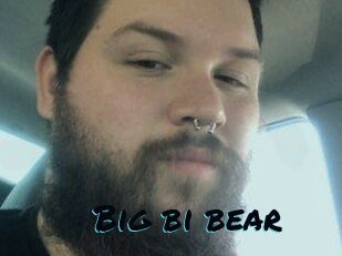 Big_bi_bear