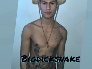 Bigdicksnake