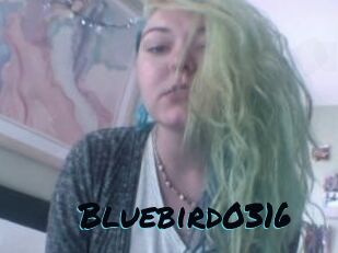 Bluebird0316