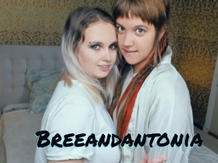 Breeandantonia