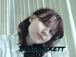 Breebaskett