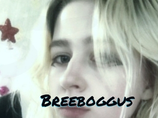 Breeboggus