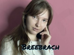 Breebrach