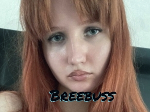 Breebuss