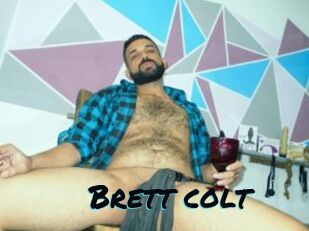 Brett_colt