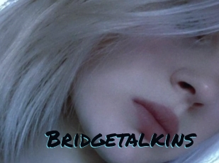 Bridgetalkins