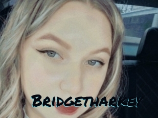 Bridgetharkey