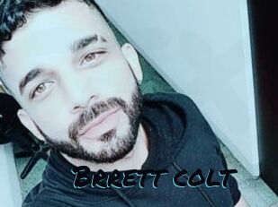 Brrett_colt