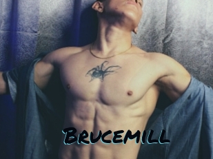 Brucemill