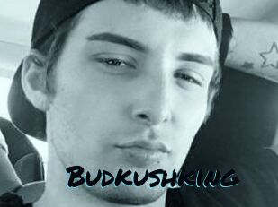 Budkushking