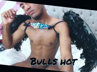 Bulls_hot