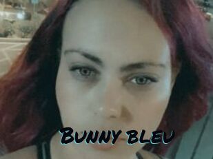 Bunny_bleu