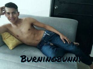 Burningbunny