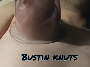 Bustin_knuts