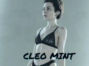 CLEO_MINT