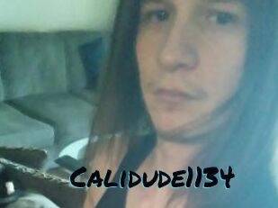 Calidude1134