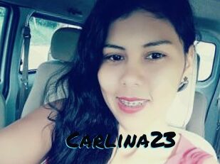 Carlina23