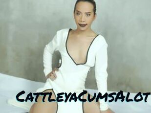 CattleyaCumsAlot