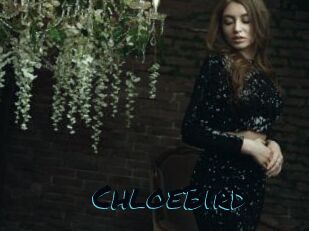 ChloeBird