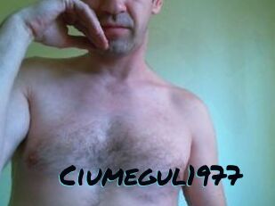 Ciumegul1977