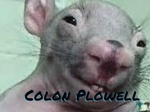 Colon_Plowell