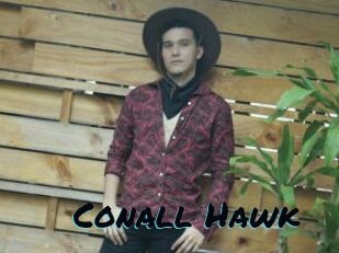 Conall_Hawk