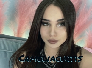 Cameliacurtis