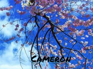 Cameron