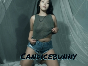 Candicebunny