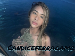 Candiceferragamo