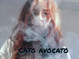 Cato_avocato