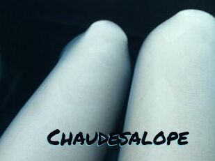 Chaudesalope