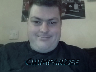 Chimpanzee