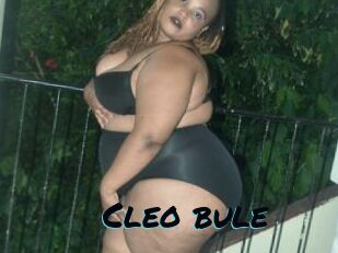 Cleo_bule