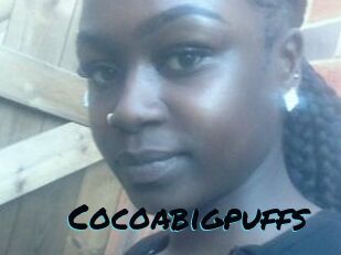 Cocoabigpuffs