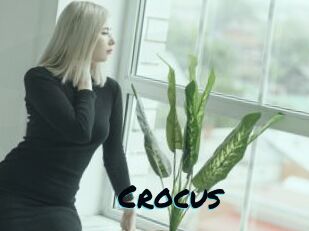 Crocus