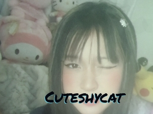 Cuteshycat