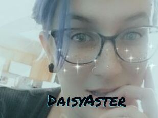 DaisyAster