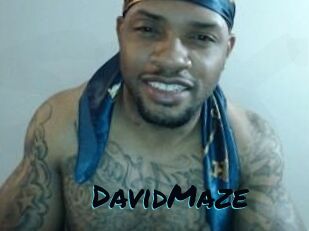 David_Maze