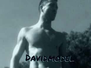 Davidmodel