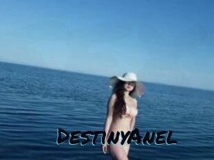 DestinyAnel