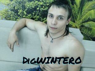 DigWINTERO